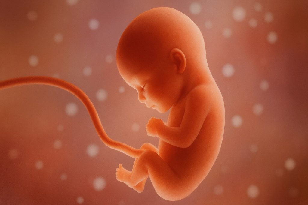 Las Tres Pubertades: 8 días, 12 años y 14 años